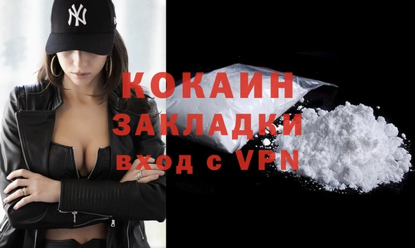 индика Абаза