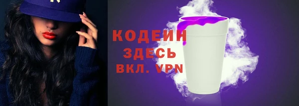 индика Абаза