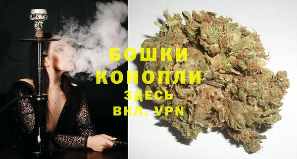 индика Абаза