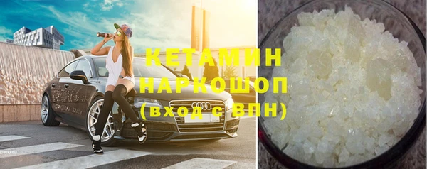 индика Абаза