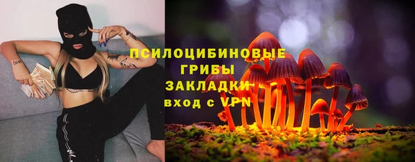 PSILOCYBIN Абинск