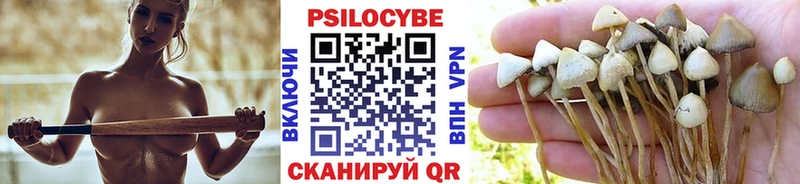 купить наркоту  Хилок  Псилоцибиновые грибы мицелий 